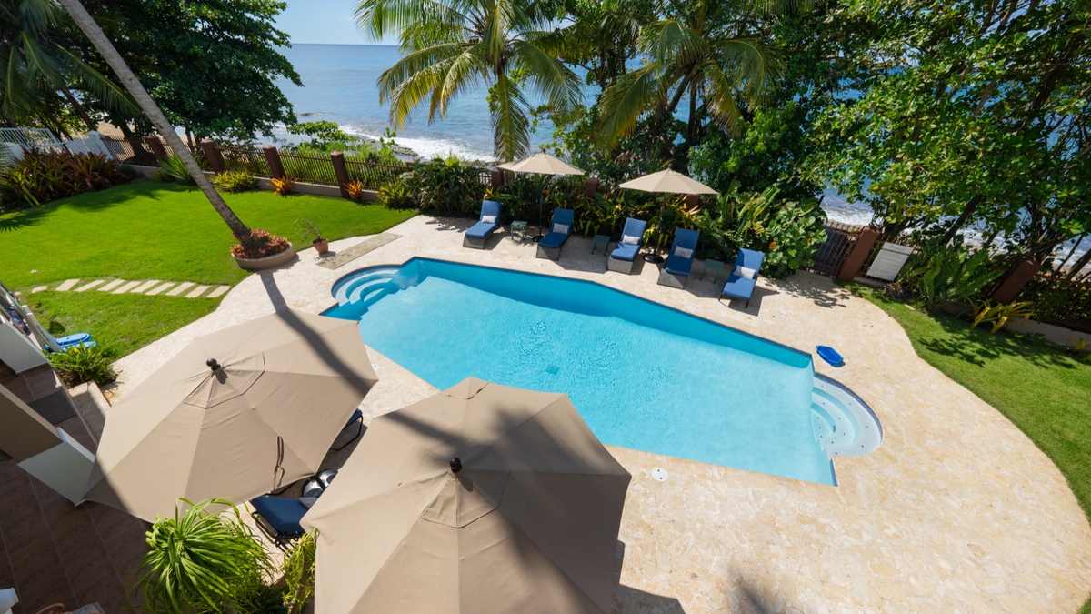 Overhead view of the pool and loungers beside the gardens